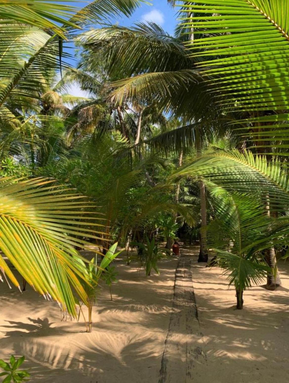 Ganesh Garden Beach Cabanas Tangalle Exterior photo